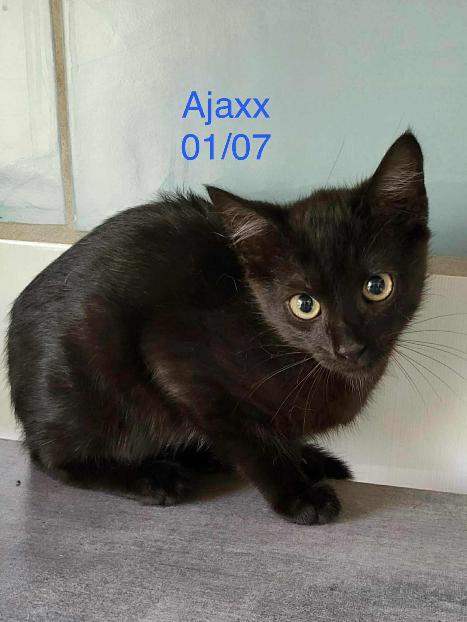 Ajaxx photo