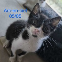 Arc en ciel photo