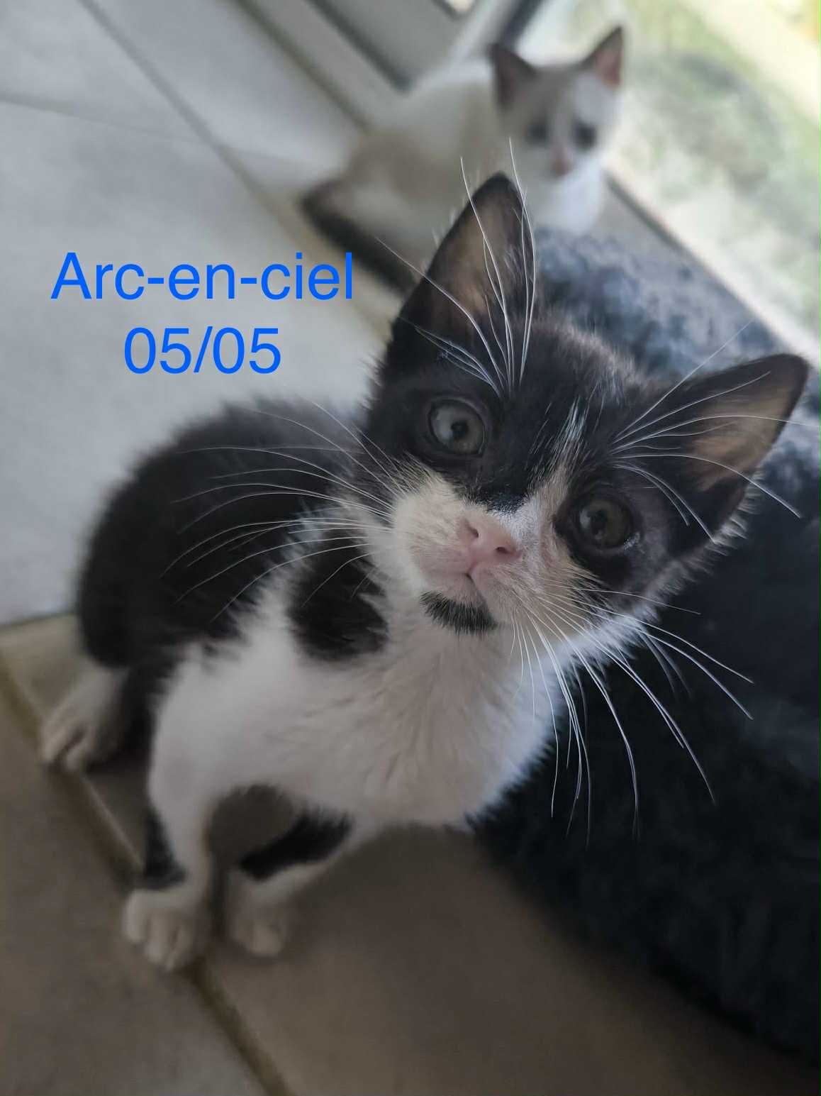 Arc en ciel photo