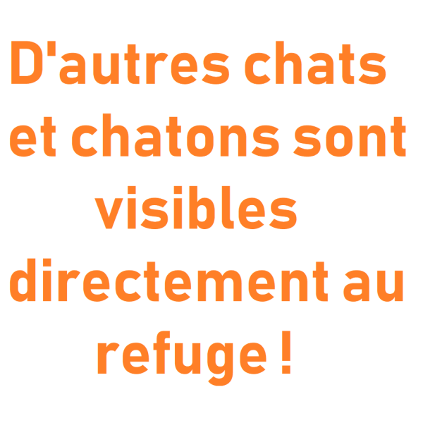 autre photo