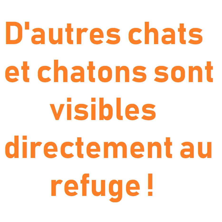 autre photo