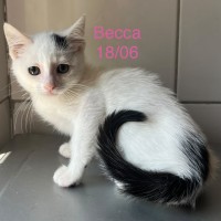 Becca photo