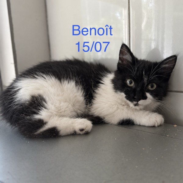 Beno&icirc;t photo