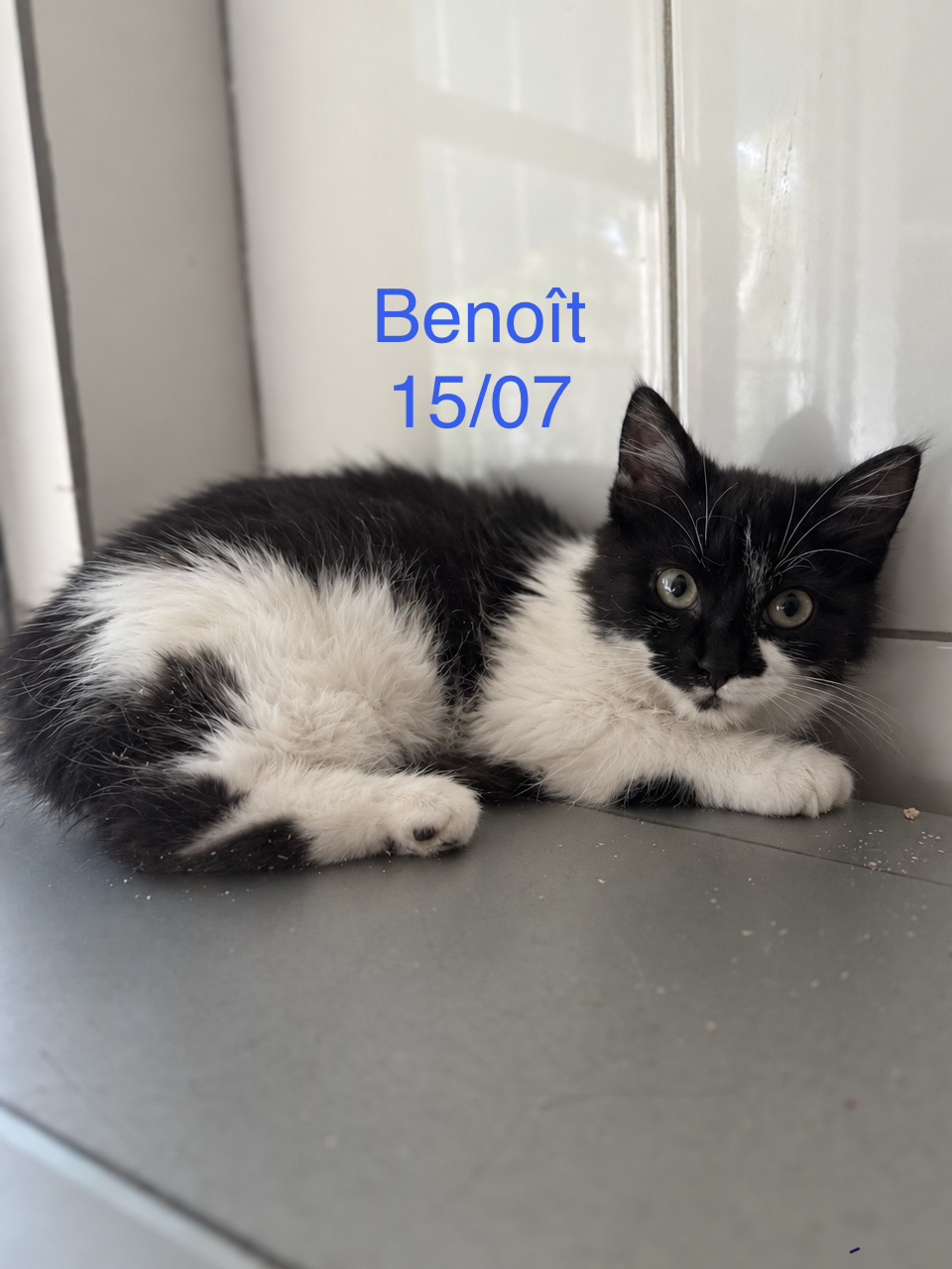 Beno&icirc;t photo