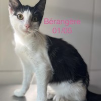 B&eacute;rang&egrave;re photo