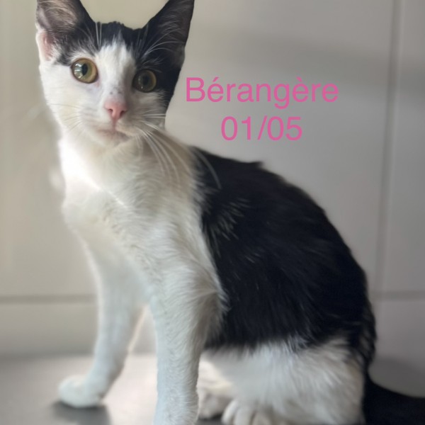 B&eacute;rang&egrave;re photo