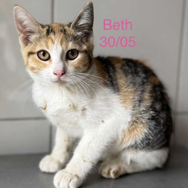 Beth photo