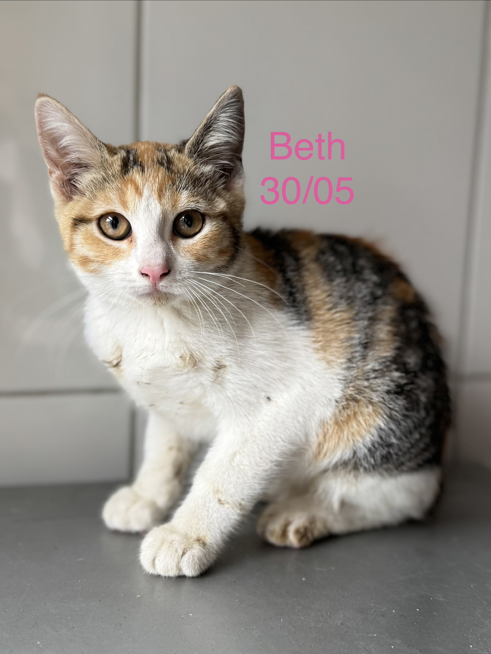 Beth photo