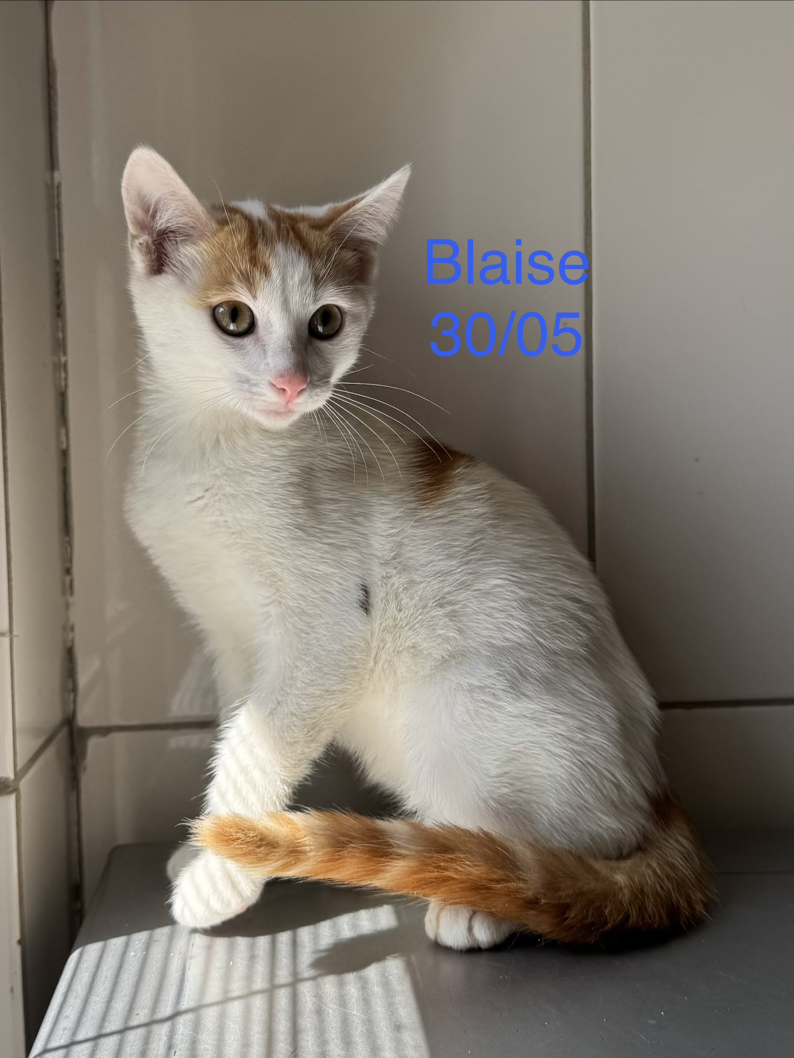Blaise photo