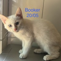 Booker photo