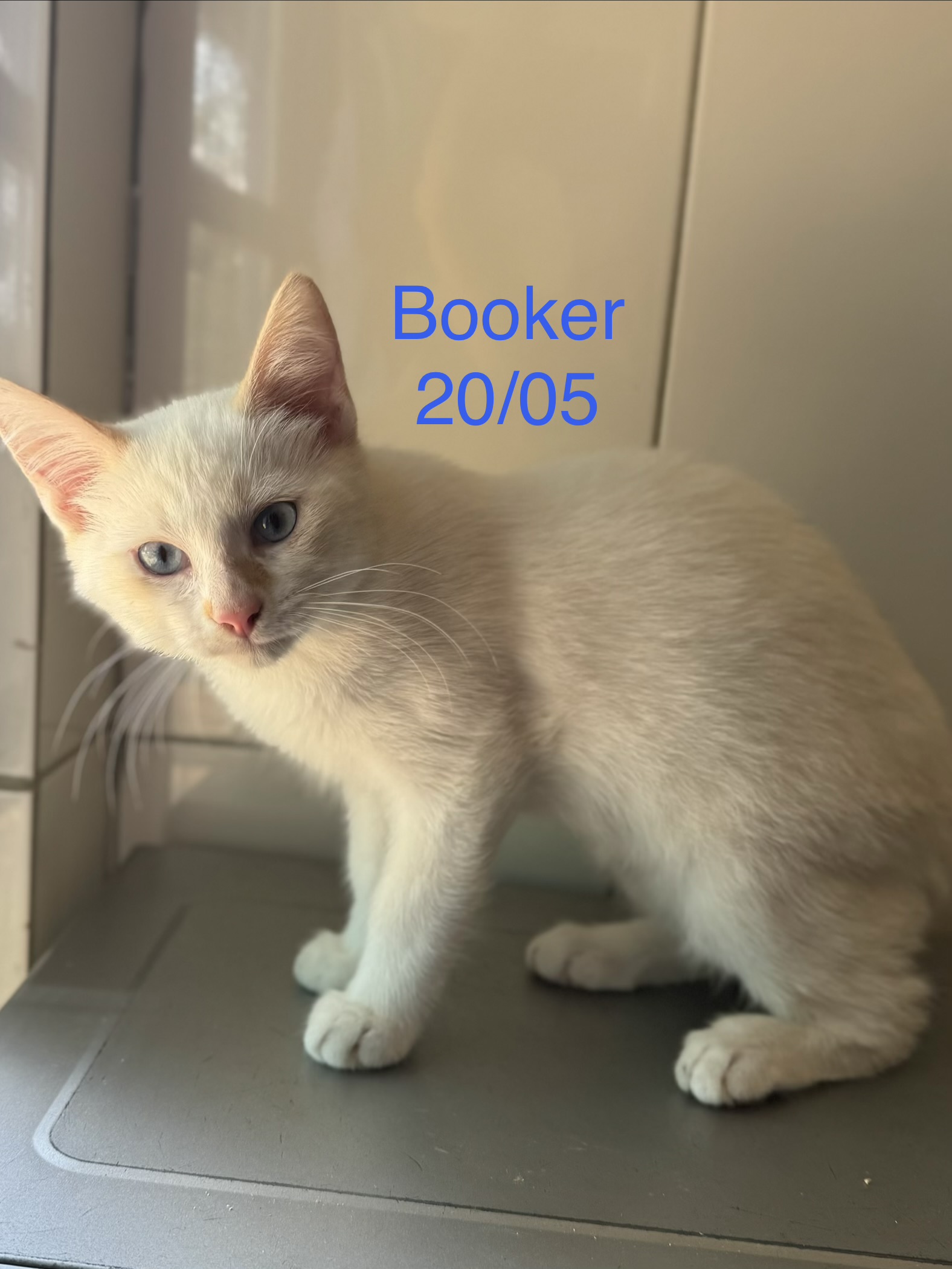 Booker photo