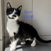 Born photo