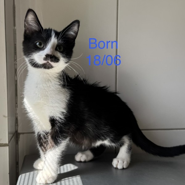 Born photo