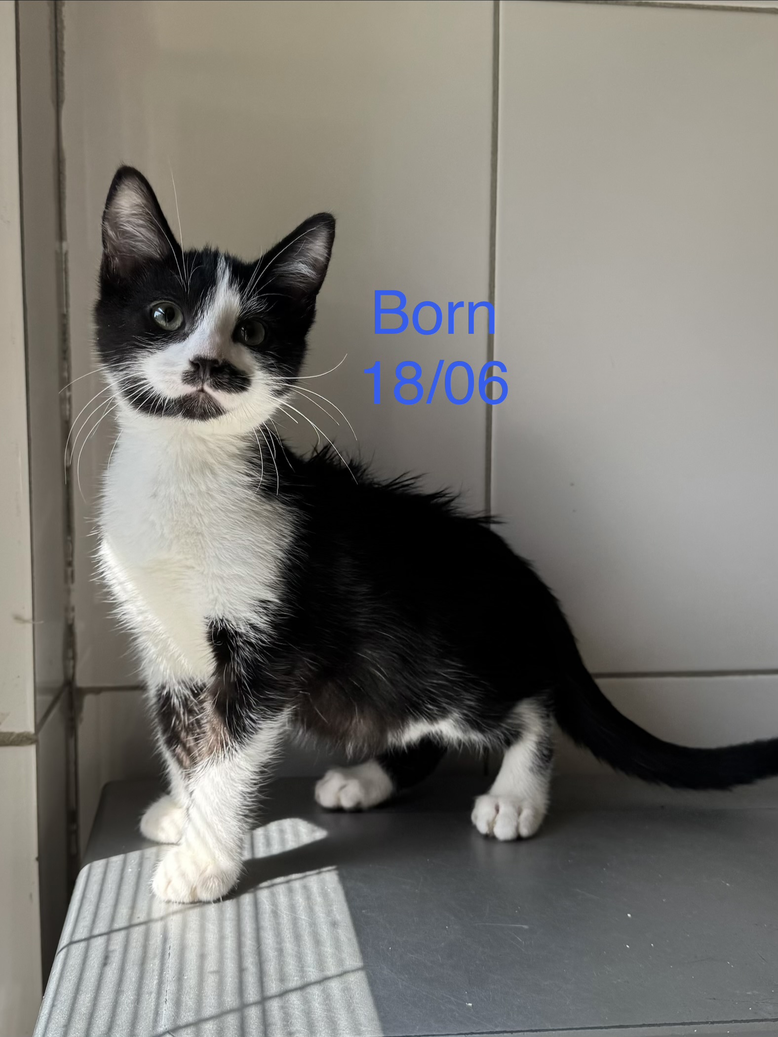 Born photo