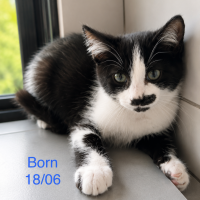 Born photo