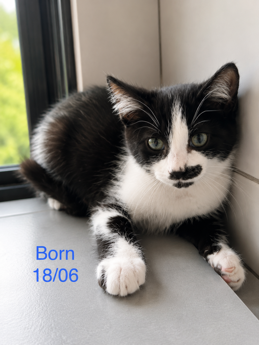 Born photo