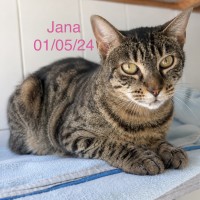 Jana photo