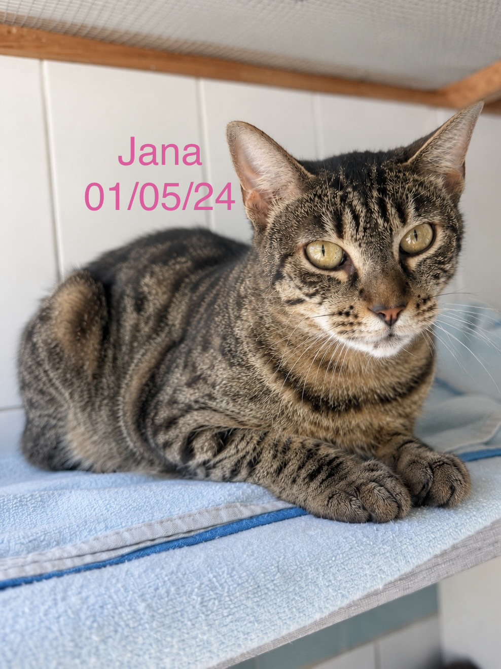 Jana photo