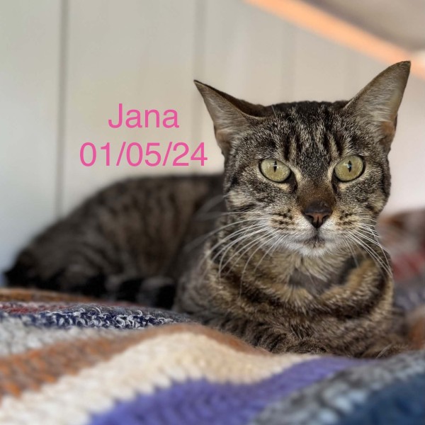 Jana photo