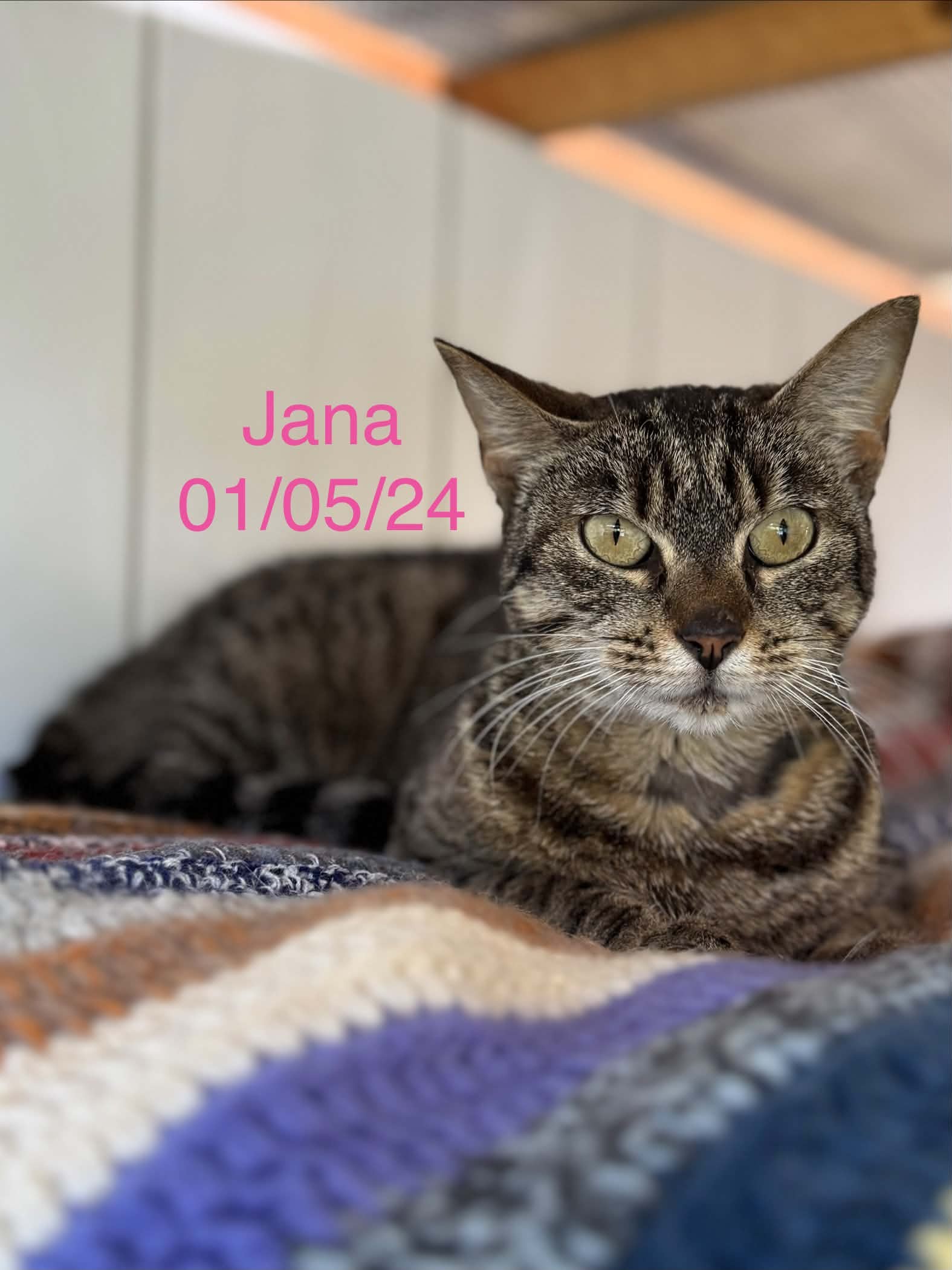 Jana photo