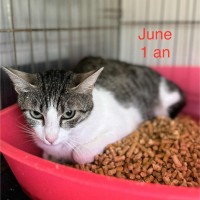 June photo