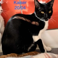 Kaiser photo