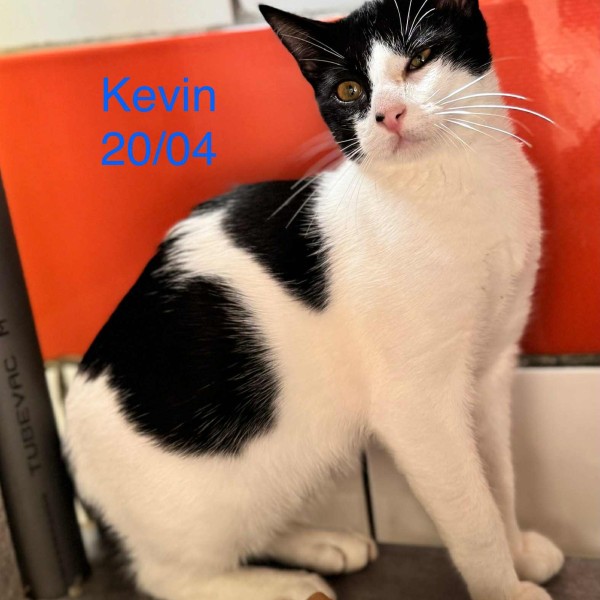 Kevin photo