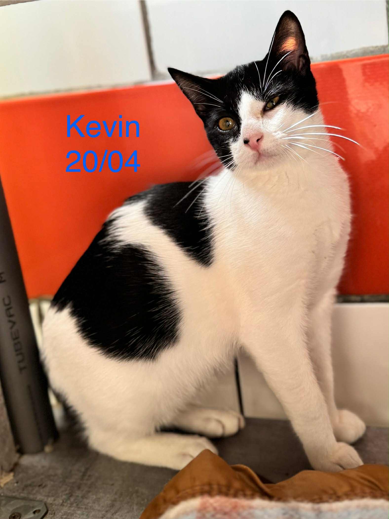 Kevin photo