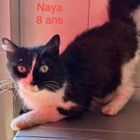 Naya photo