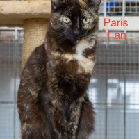 Paris photo