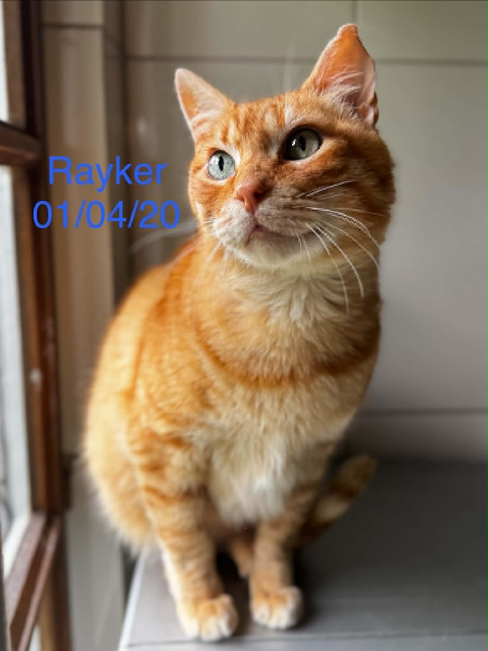 Rayker photo