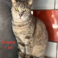 Selena photo