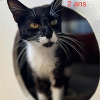 Usséa photo