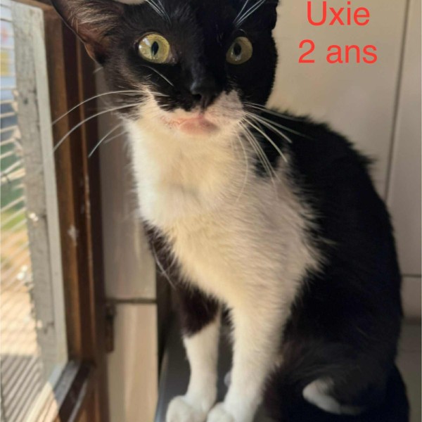 Uxie photo
