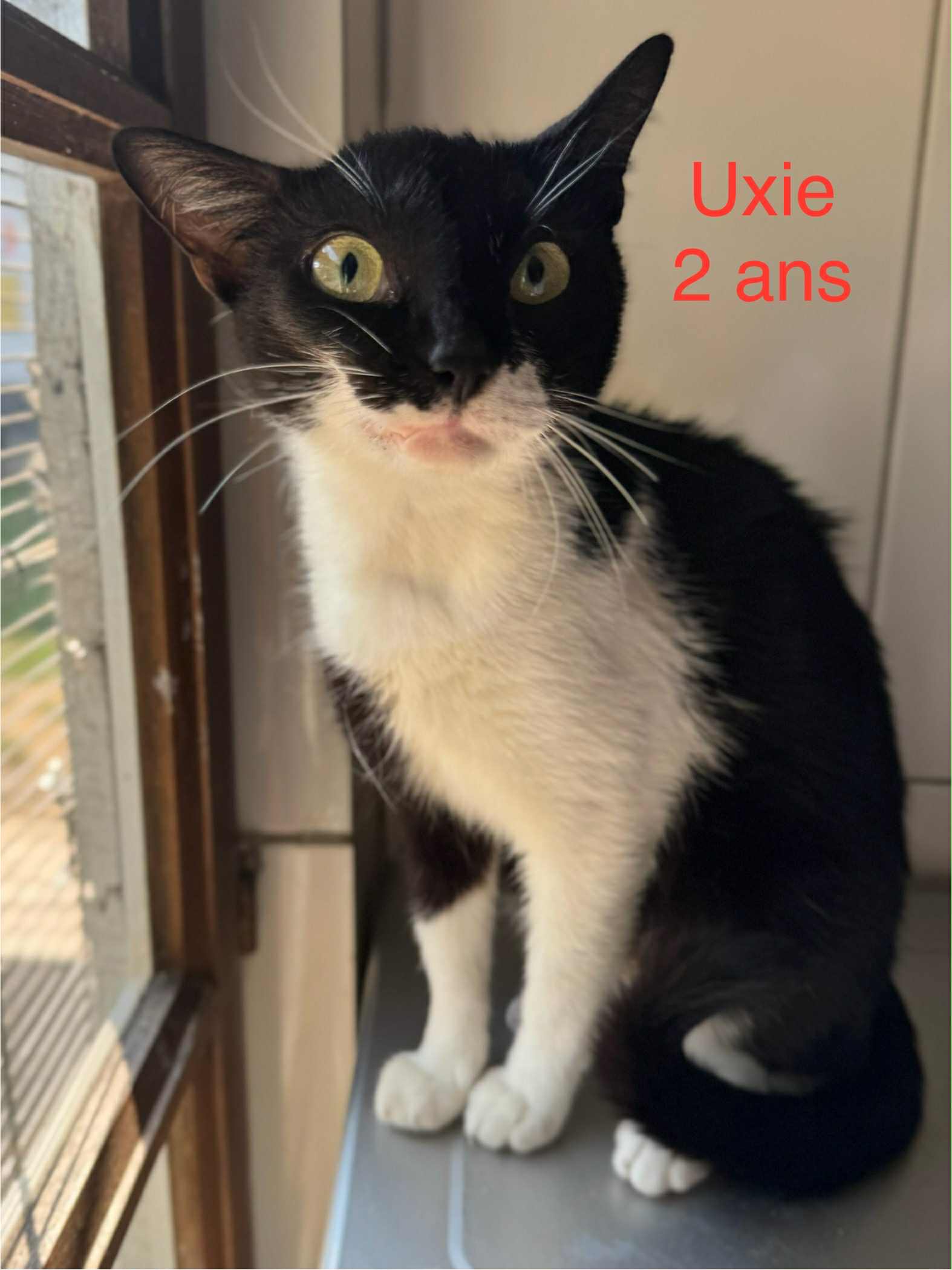 Uxie photo