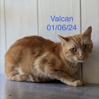 Valcan photo