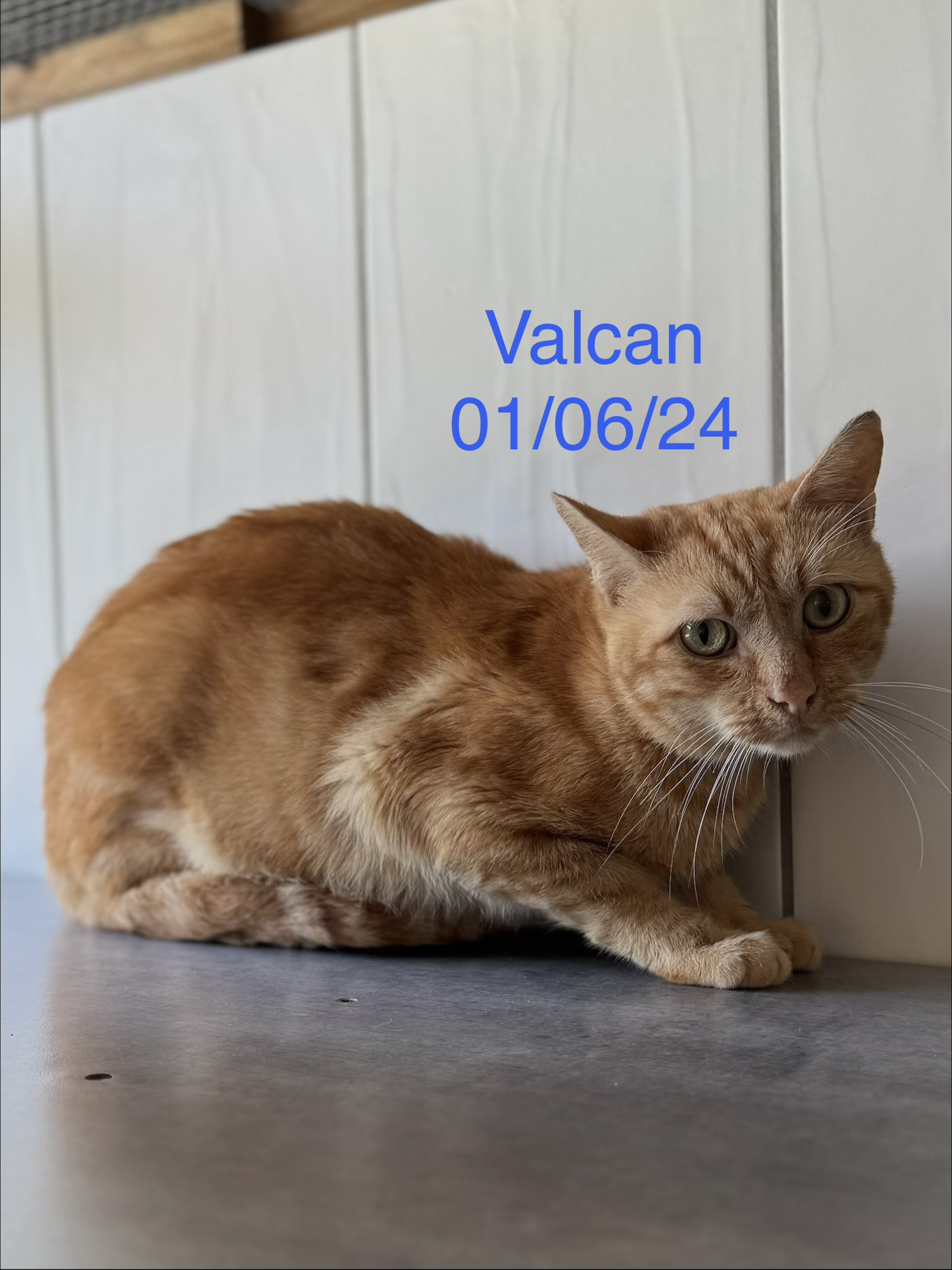 Valcan photo