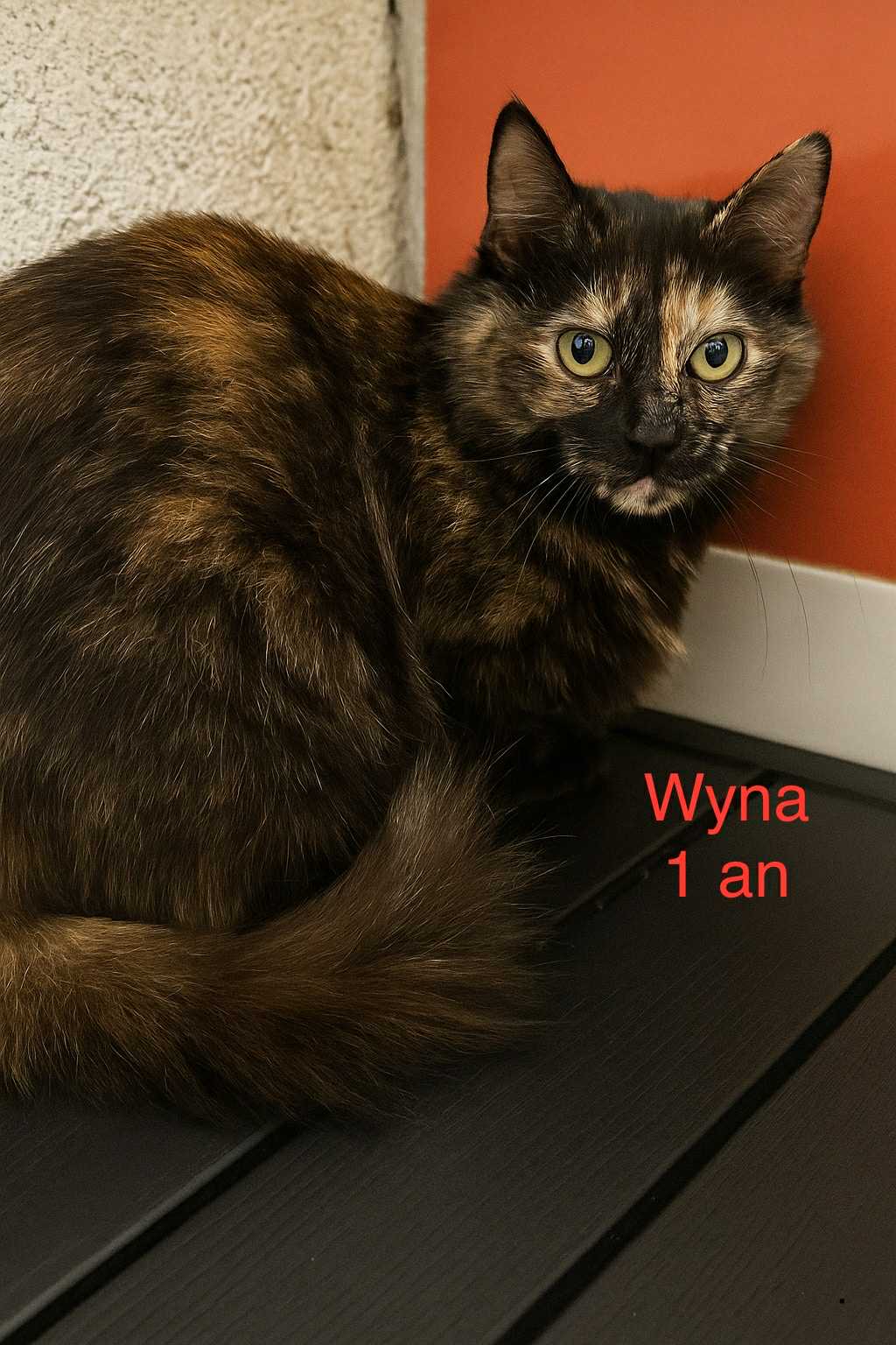 Wyna photo