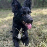 A&iuml;cha photo
