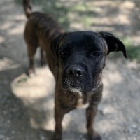 Aiko photo
