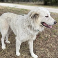 Django photo