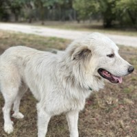 Django photo
