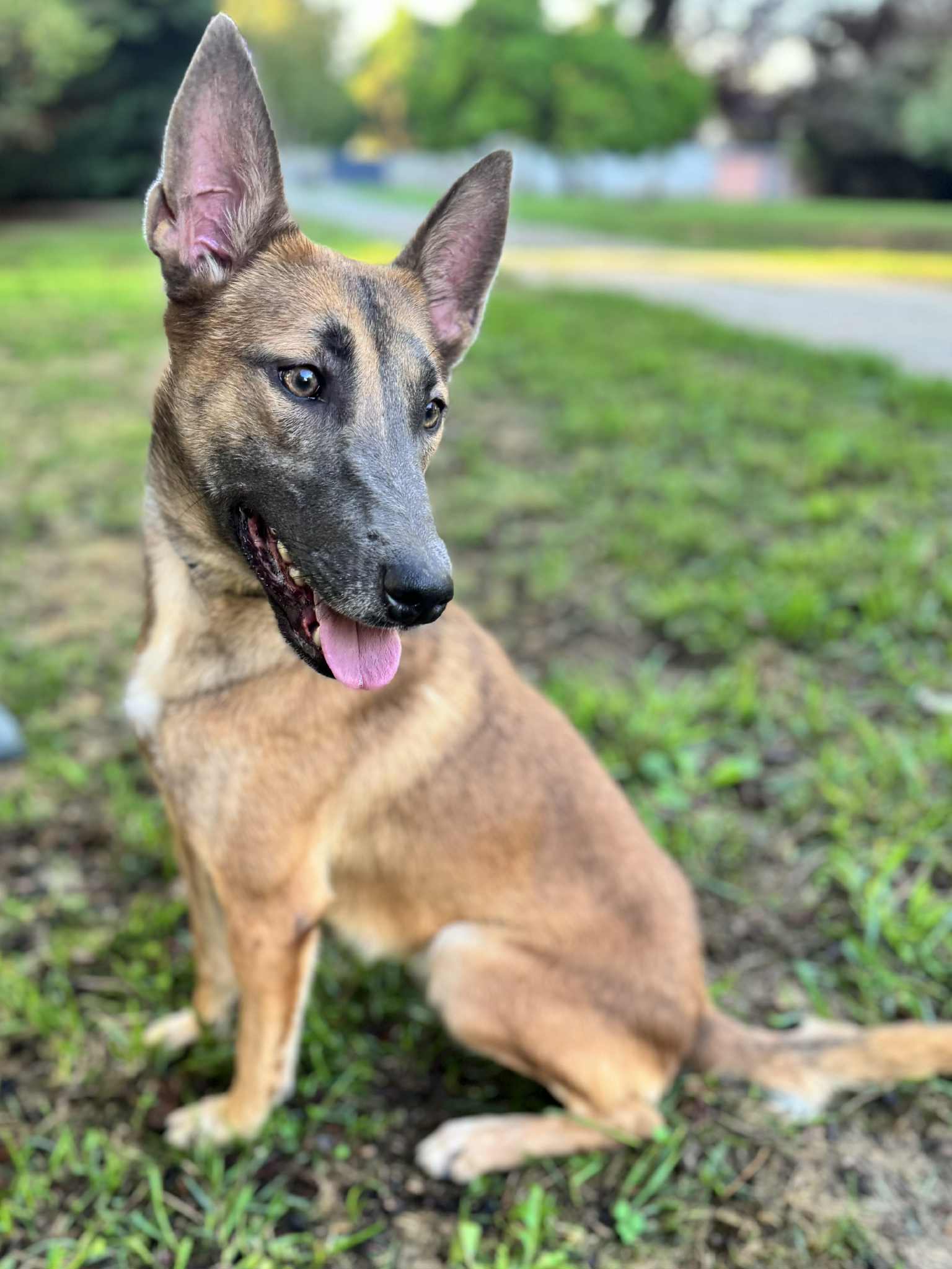 Elsa photo