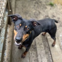 Maya photo