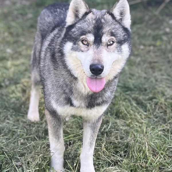 Ragnar photo