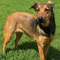 Xena photo