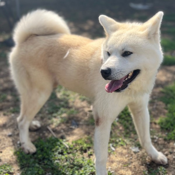 Yuki photo