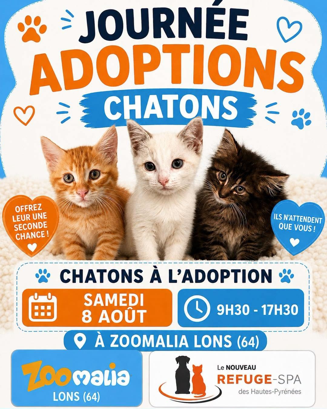 Animation adoption 08/08/26 - LONS event photo