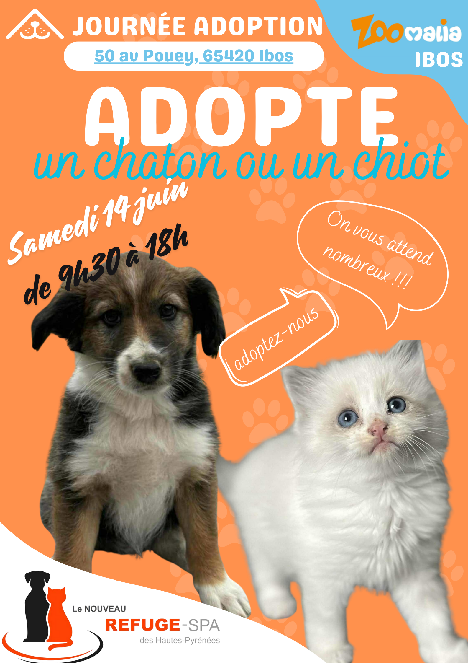 Animation adoption 14/06/2025 - IBOS event photo